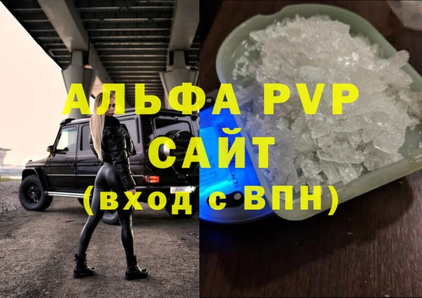 прущие грибы Гвардейск
