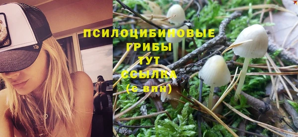 МДМА Дедовск